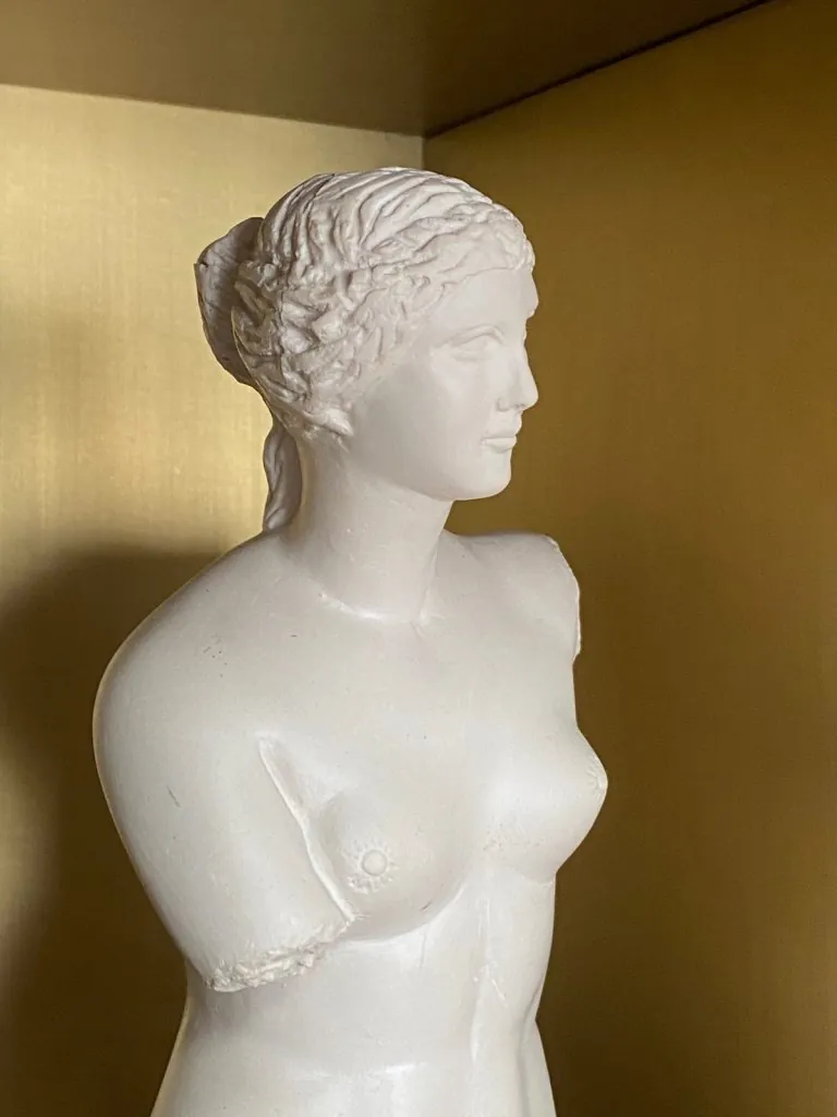 Buste d une statue de Vénus sur fond doré, cabinet du Dr Binder